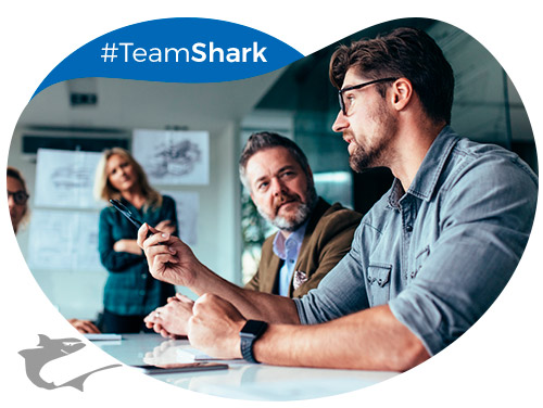 img asesoria marketing digital agencia shark