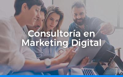 img consultoria marketing digital agencia shark